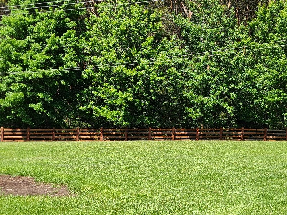 Four rail fence running along a paddock boundary